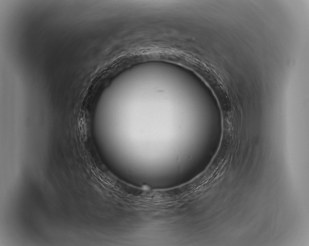X0000115431493200911121052