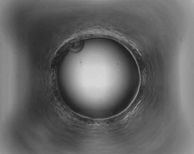 X0000115431494200911121052