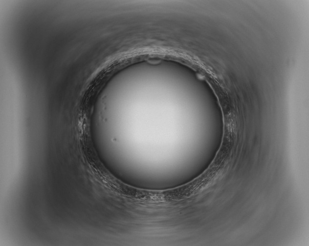 X0000115431495200911121052