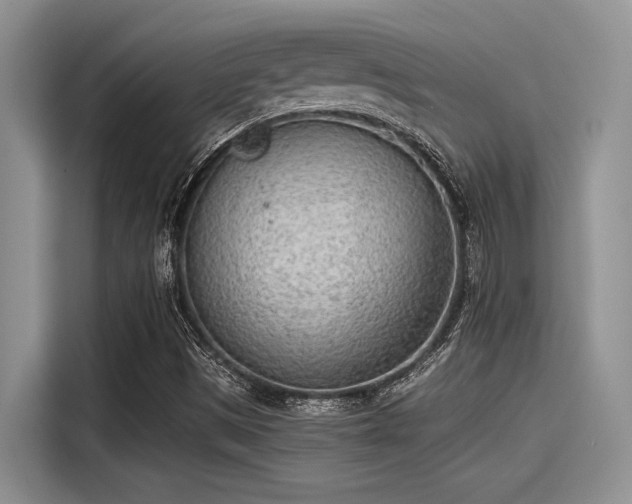 X0000115431497200911121052