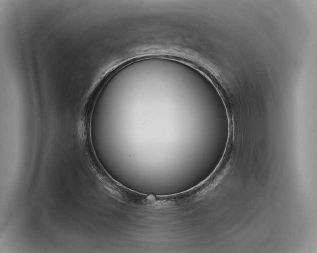 X0000115431501200911121053