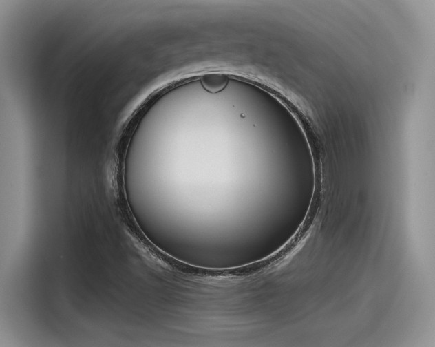 X0000115431502200911121053