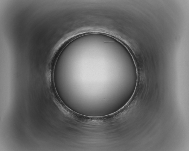 X0000115431503200911121053