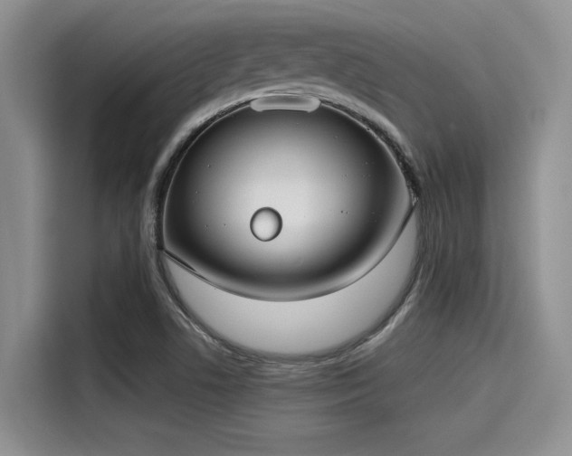 X0000115431506200911121053
