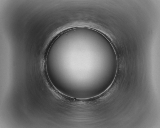 X0000115431507200911121053