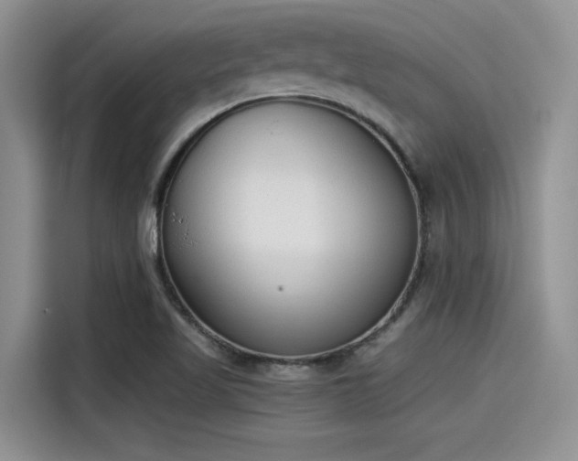 X0000115431509200911121053