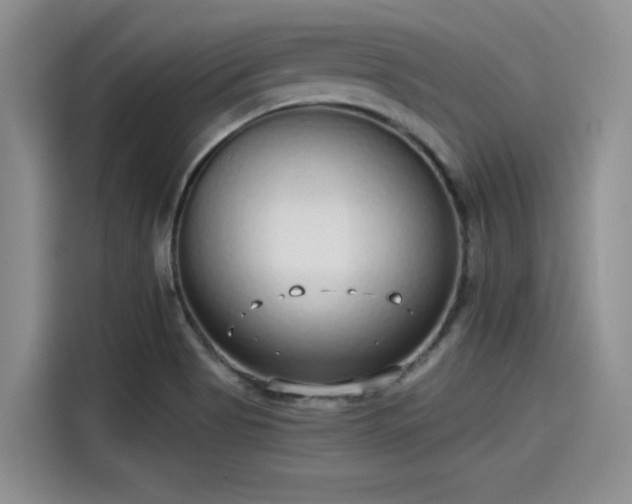 X0000115431513200911121053