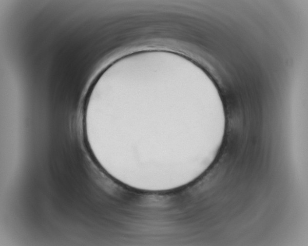 X0000115431514200911121053