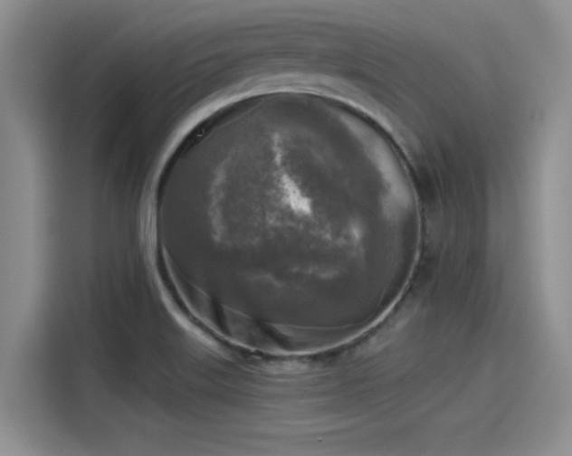 X0000115431515200911121053