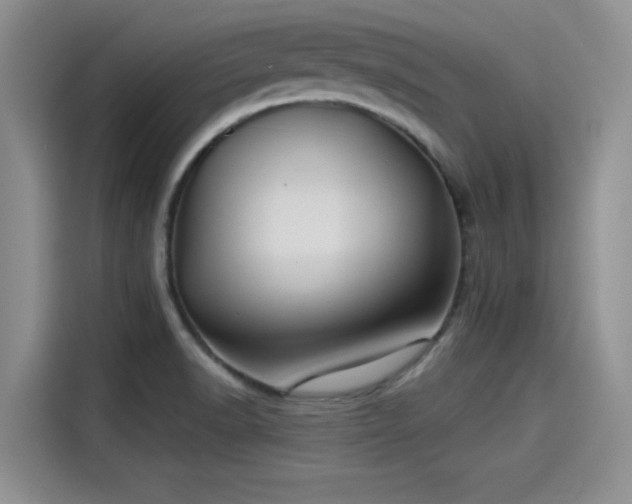 X0000115431518200911121053
