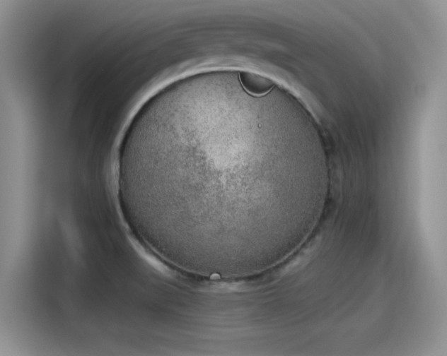 X0000115431519200911121053