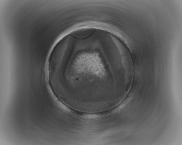 X0000115431522200911121053