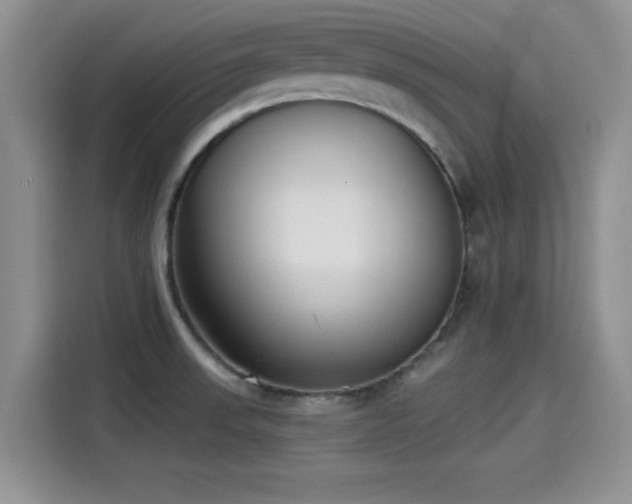 X0000115431523200911121053