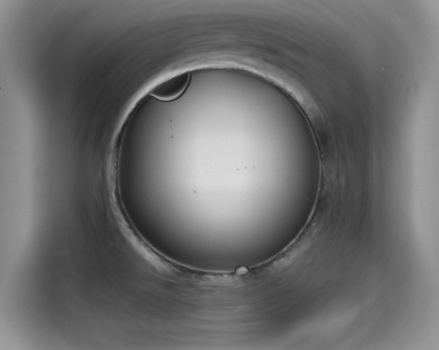 X0000115431526200911121053