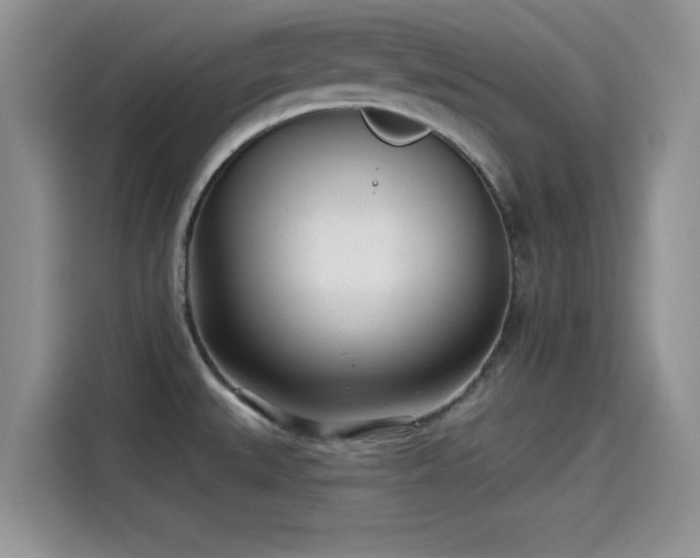 X0000115431527200911121053