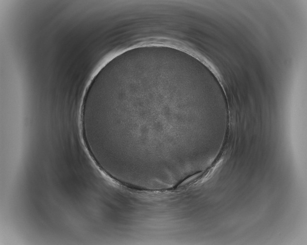 X0000115431533200911121053