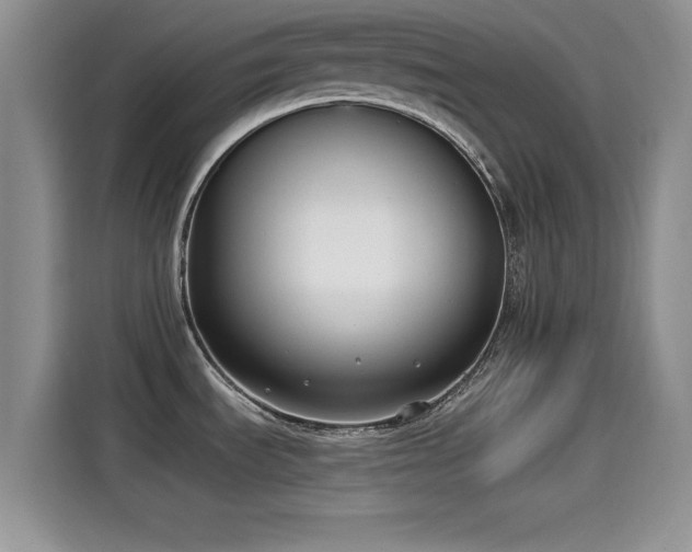 X0000115431535200911121053