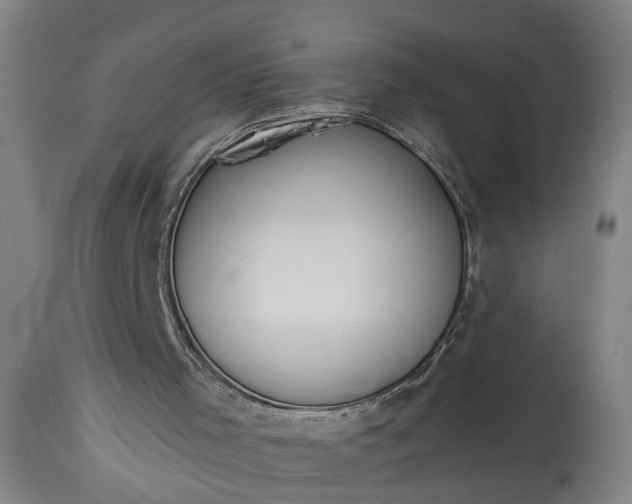 X0000115430001200911181511