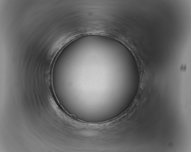 X0000115430002200911181511