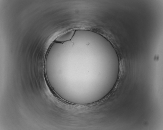 X0000115430003200911181511