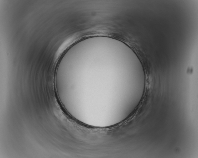 X0000115430004200911181511