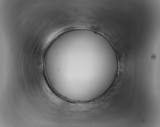 X0000115430005200911181511