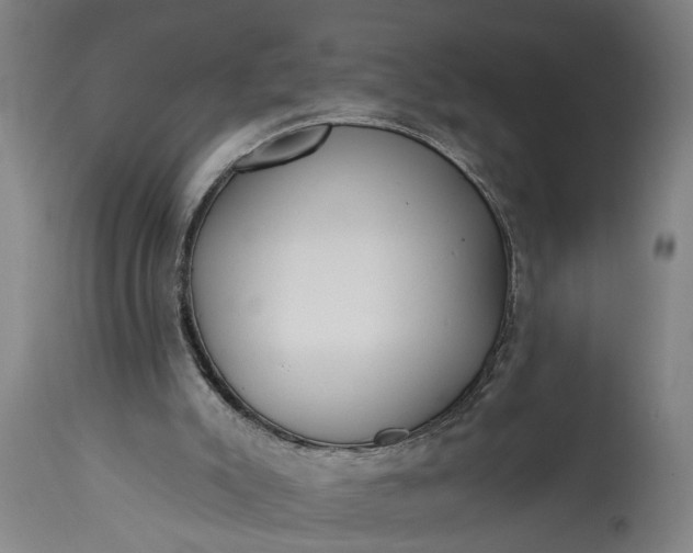 X0000115430007200911181511