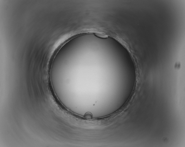 X0000115430008200911181511