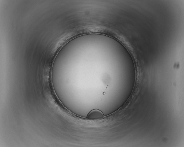 X0000115430010200911181511