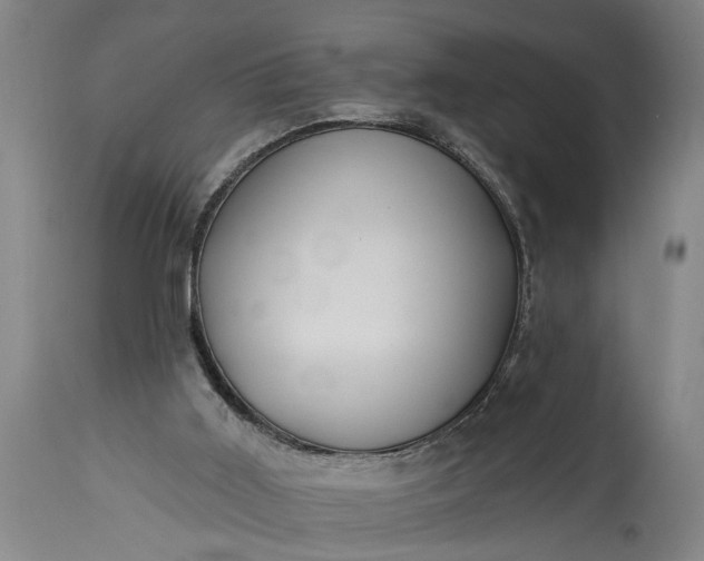 X0000115430011200911181511