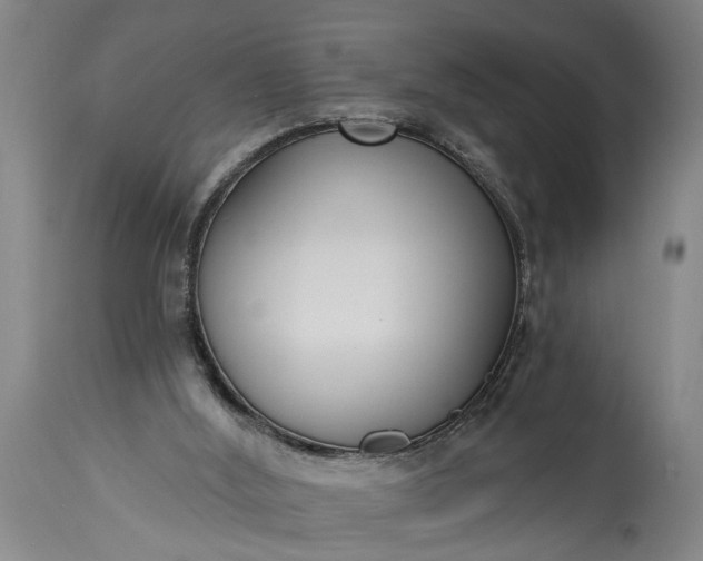 X0000115430012200911181511