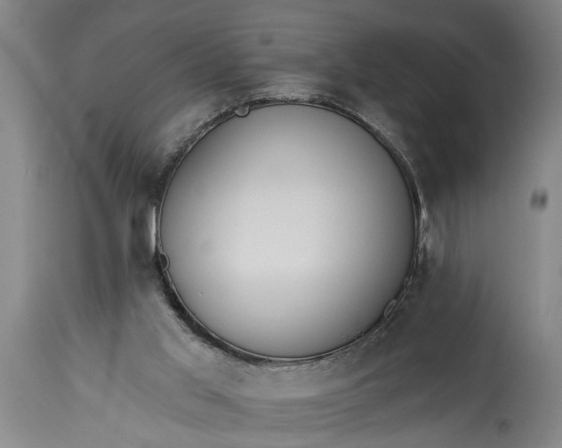 X0000115430013200911181511