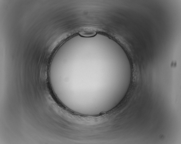 X0000115430015200911181511