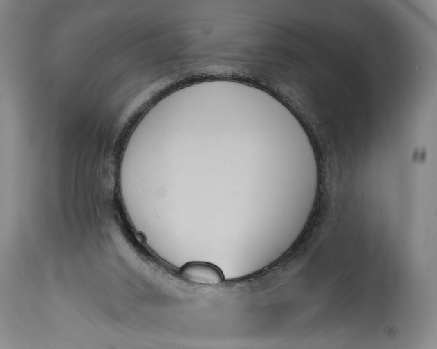 X0000115430016200911181511