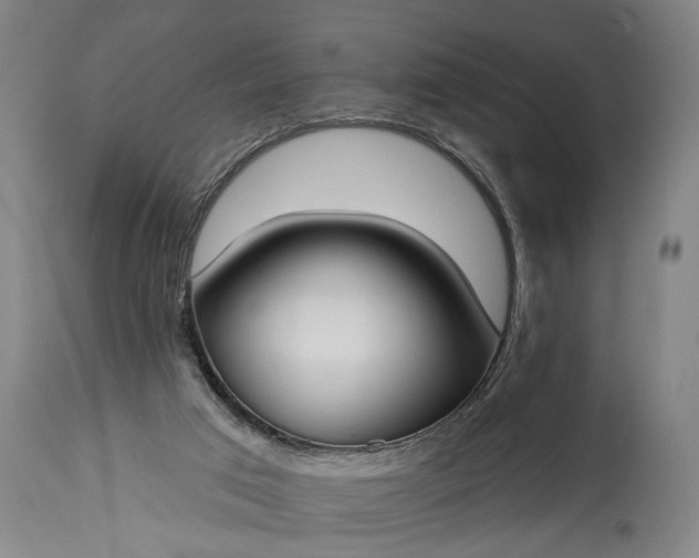 X0000115430017200911181511