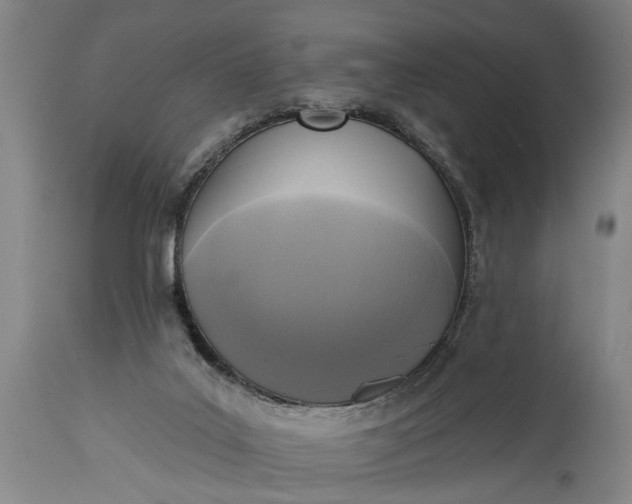 X0000115430019200911181511