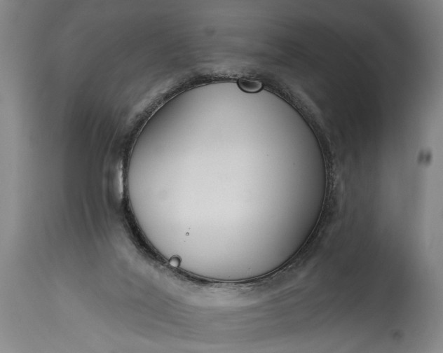 X0000115430020200911181511