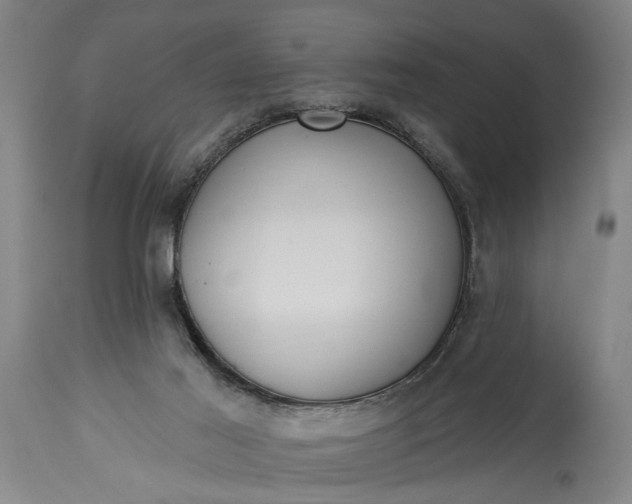 X0000115430021200911181511