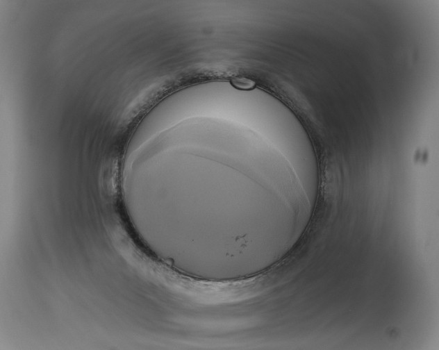 X0000115430023200911181511