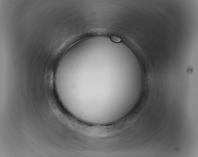 X0000115430024200911181511