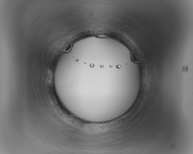 X0000115430025200911181511