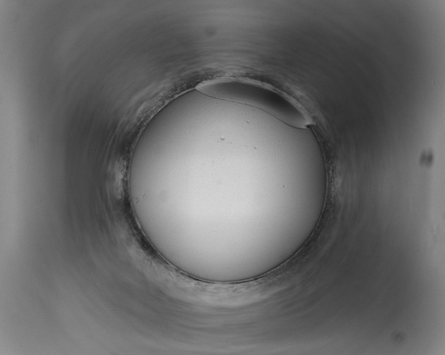 X0000115430026200911181511