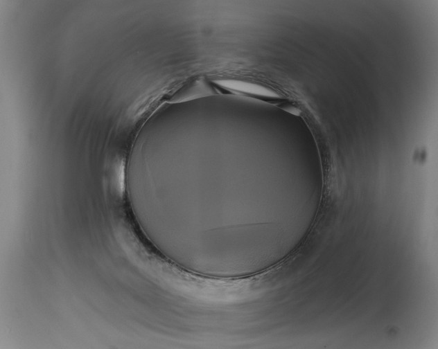 X0000115430027200911181511