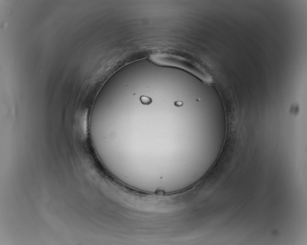 X0000115430028200911181511