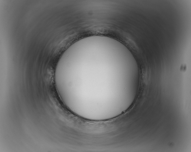 X0000115430029200911181510