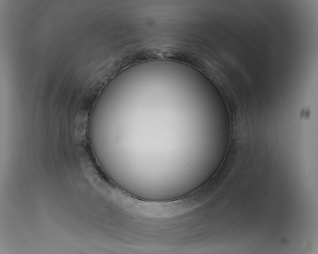 X0000115430030200911181510