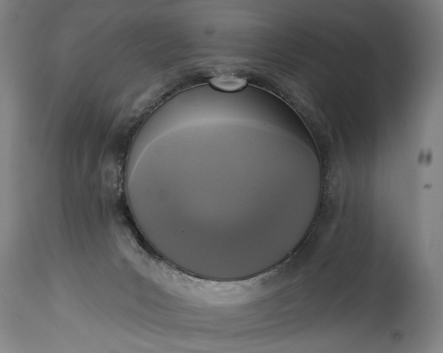 X0000115430031200911181510