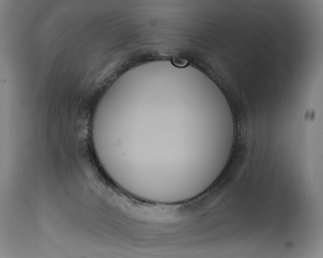 X0000115430032200911181510