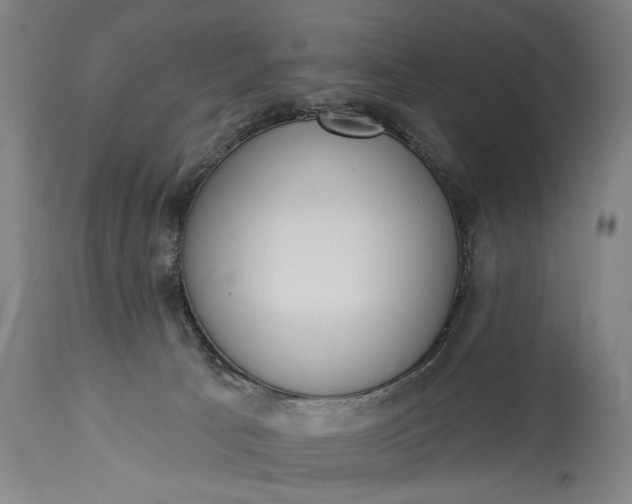 X0000115430033200911181510