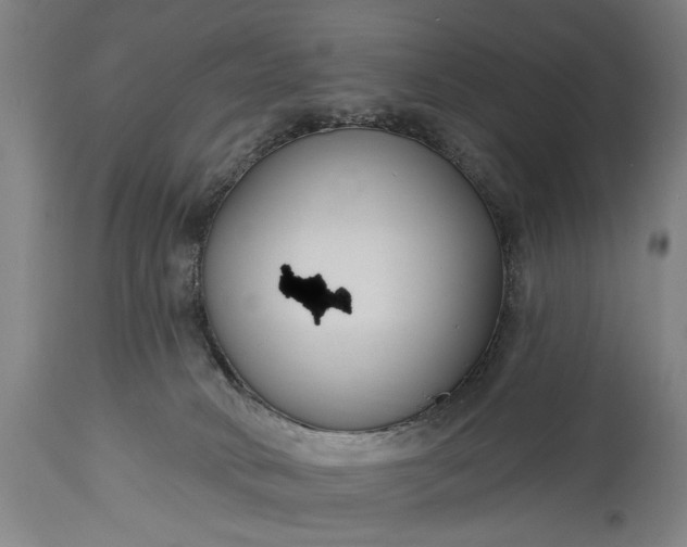 X0000115430034200911181510